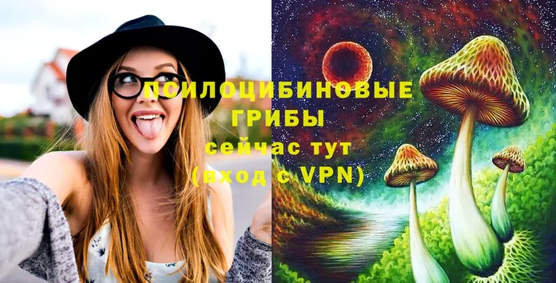 Псилоцибиновые грибы GOLDEN TEACHER  Десногорск 