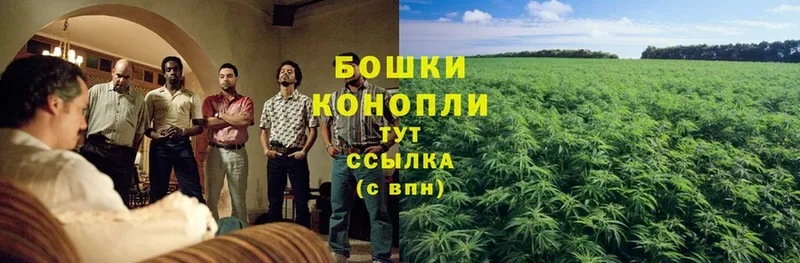 закладки  Десногорск  Конопля OG Kush 